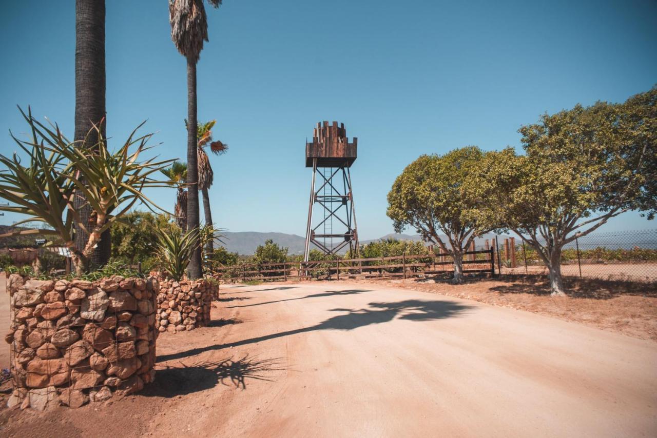 Hotel Castillo Ferrer Valle de Guadalupe Extérieur photo