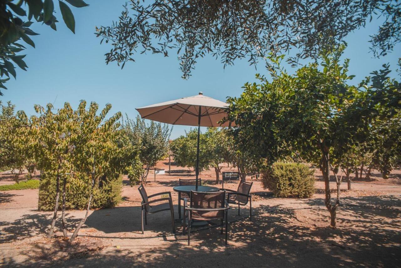Hotel Castillo Ferrer Valle de Guadalupe Extérieur photo